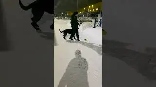 Занимались по IGP