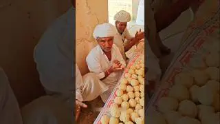 Rajasthani people look young even at the age of 150 years #shortvideo