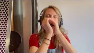 Funk harmonica - Seelien