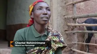 Progress thanks to goats: Kolping in Burundi