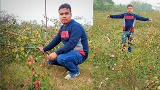 Best assamese vlog video|| kushalvlogs||