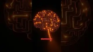 Neuroplasticit&eacute;: votre cerveau se reconstruit #neuro #cerveau #apprendre #recup #plasticite