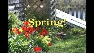 Beauty of Cape Cod and Martha's Vineyard- in All Four Seasons