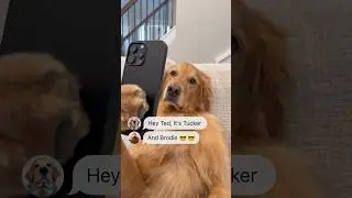 My dog texted @TuckerBudzyn and @BrodieThatDood !