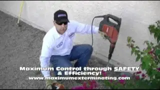 Arizona Termite Control