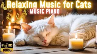 Cat Piano for Relaxation | Soft Purrs, Cats Music, Fireplace, and Sleeping Cats