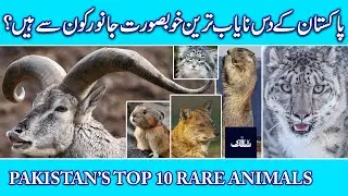 Top 10 Rare Animals of Pakistan/Endangered Animals of Pakistan
