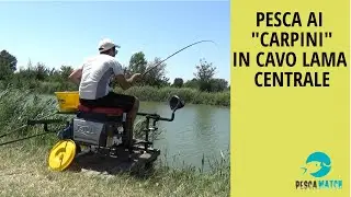 PESCA AI 