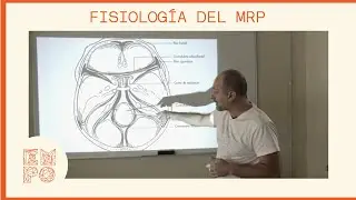 Fisiología del MRP - Capitulo 1/4