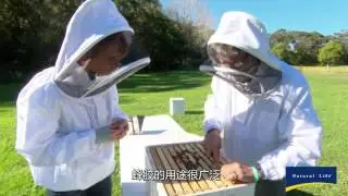 Natural Life Propolis 2016 Subtitles