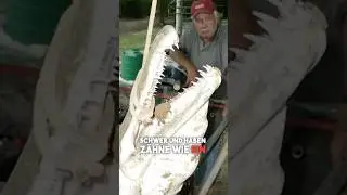 300cm langer Hecht !?! 🤯 #angeln #fishing #hecht