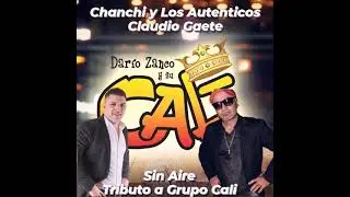 Sin Aire - Chanchi y Los Autenticos,  Claudio Gaete