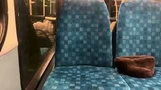 (Transfer + New Allocation) Journey on Route 370 Arriva London LF67EWG HV368 24/1/26