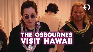 Дикий гавайский луау в Осборнах | Телеканал Осборнов