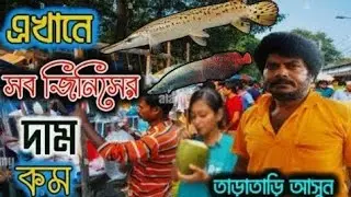 সপ্তাহের শেষ ভিডিও আরও কমদামের মধ্যেই রঙিনমাছ সংগ্রহ করুন😱serampore pet market।aquarium fish price