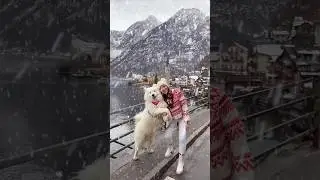 Winter in Hallstatt 🎄❄️ #hallstatt #winter #austria #snow #travel #samoyed