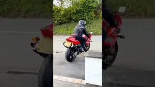 TL1000S