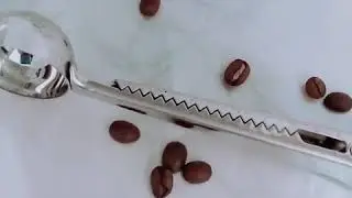 5PCS Multifunction Kitchen Coffee Scoop With Clip Stainless Steel Tea Coffee Measuring Cup