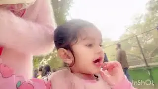 Aj humlog gaye the zoo🐰🐒🐺🦧🐆🐅🐊