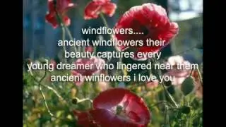 Windflowers