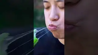 Creazy!eat raw！aloe vera| Chinese Food Eating Show | Funny Mukbang ASMR