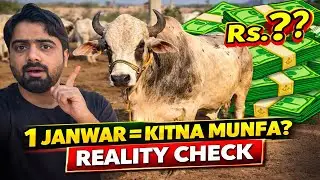 1 Janwar = Kitna Munfa? | Sab Kuch Samne Agaya! (Reality Check)