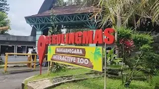 Liburan Akhir Tahun Di SERULINGMAS BANJARNEGARA 