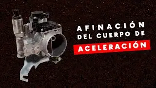Afina el cuerpo de aceleración con $100 | Tsuru | Circuito Elite