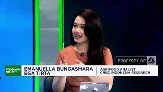 Uji Kekuatan Proyek Food Estate Merauke Dukung Swasembada Pangan