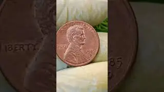 Look for this #coincollector #coin #chicagocoin #collectiblecoins #numismatics #money #coinhunt