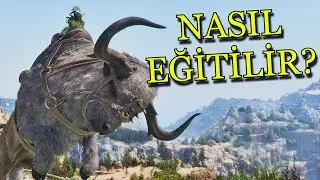 ARK Ascended Bison Training Guide! Introduction to the Full Farming System 🦬 - B10