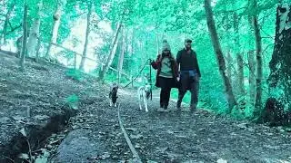 Gibside National Trust in 1 minute