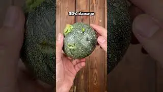 Какой раунд вам нужен?