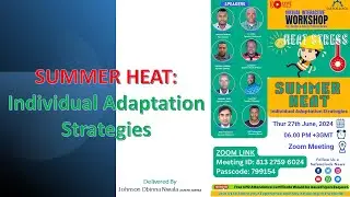 Summer Heat: Individual Adaptation Strategies