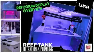 Reef Tank Display Refugium - Luna Reef Customs - Ep.3