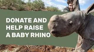 Our Orphan Baby Rhinos Are Hungry