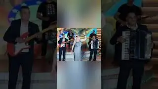 KOME SAM SVE TO RADILA // Goca Jovanovic