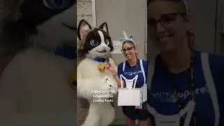 Testimonial from Anthrocon for the ThermApparel UnderCool Cooling Vest