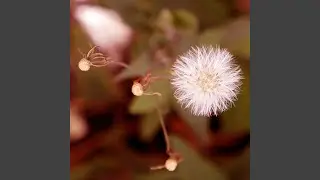 Wake up with joy