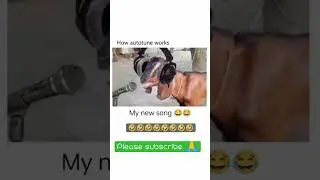 funny | #instrumental  #shorts #trending #reels #free #music #bts #pewdiepie #amazing