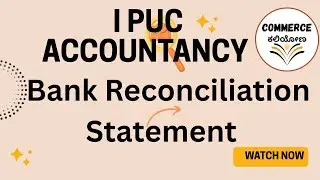 I PUC - BANK RECONCILIATION STATEMENT