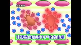 NinjaROBO中國短片2