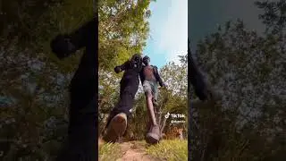 Nikampompo by @DynasoWegoso  | challenge