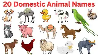 20 Domestic Animals Names With Pictures for Kids & Toddlers | Domestic Animal Names in English