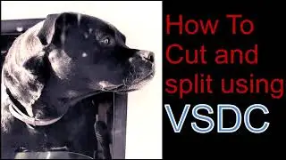 How To Easily Cut, Split, and Trim a Video With VSDC- LW&C with VSDC