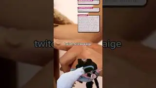Cat Live Stream Fails