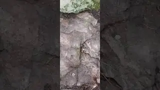 Bedrock w/ Carved Layers