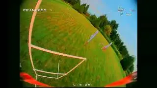 Crazy on the sticks | FPV Racing HDZero