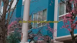 automatist poem, no. 1