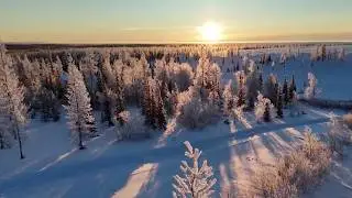 Ямал. Жизнь своих. Выпуск от 01.02.2026